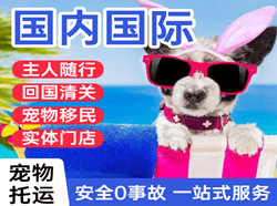 营口兰旗航空物流国际宠物托运 【国